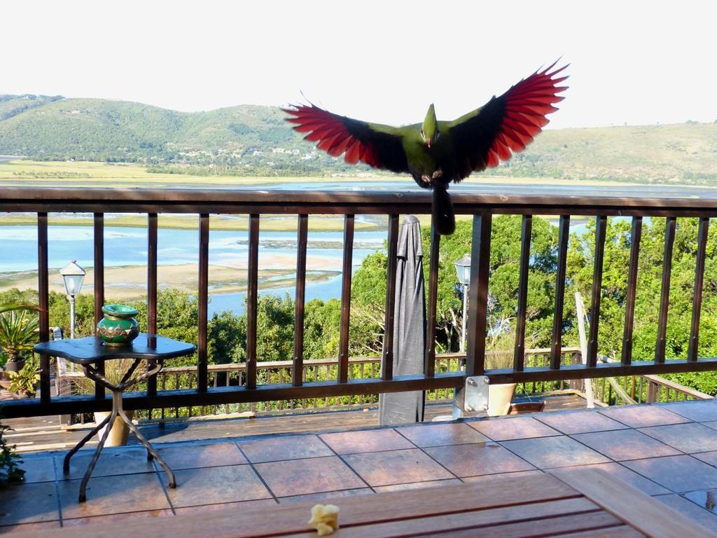 Knysnaviews Guest House 客房 照片